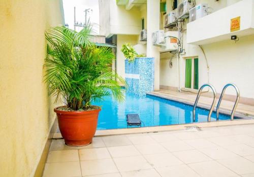 a plant in a pot next to a swimming pool at Presken Hotels @Alade Avenue in Ikeja