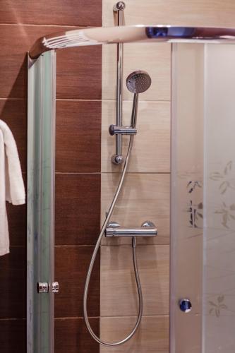 a shower with a shower head in a bathroom at Boutique Hotel's Bytom in Bytom