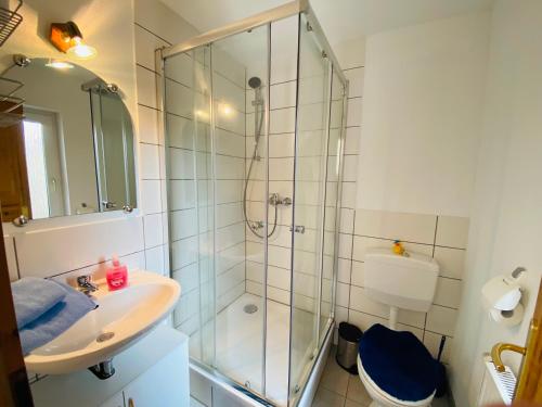 a bathroom with a shower and a sink and a toilet at Apartment Emil im EG mit Garten in Suhl in Suhl