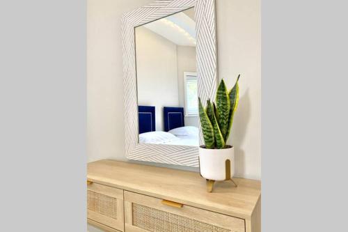 a mirror on top of a dresser with a plant at Cleveland House - Perfect for Beaches and Town. in Bournemouth