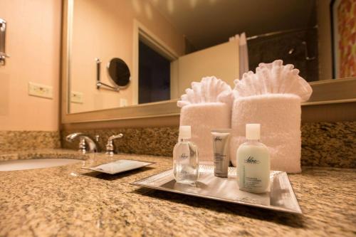 a bathroom sink with two bottles of soap and a mirror at Wyndham Chicago O'Hare in Rosemont