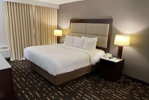 a large bed in a hotel room with two lamps at Wyndham Chicago O'Hare in Rosemont