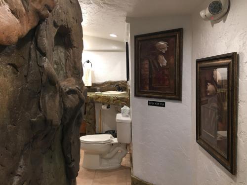 a bathroom with a toilet and a painting on the wall at Chalet Kilauea in Volcano