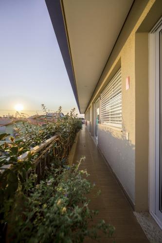 a hallway of a building with plants on the side at K1 RESIDENCE Taquaral in Campinas