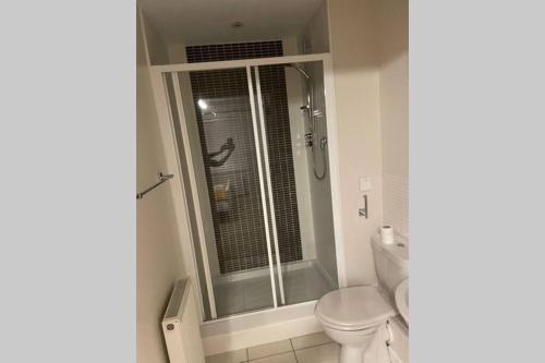 La salle de bains est pourvue de toilettes et d'une douche avec une porte en verre. dans l'établissement Luxurious & Cosy Apartment in Surrey, à Weybridge