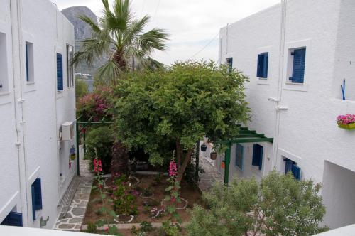 an alley between two buildings with a tree and flowers at Tatsis Apartments in Masouri