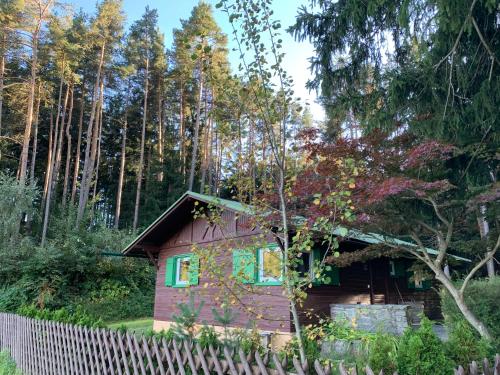 a small house in the middle of a forest at Waldchalet am Eichhof in Innsbruck