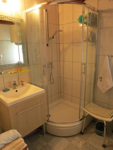 a bathroom with a shower and a sink at Ustrine view in Ustrine