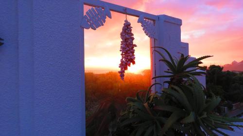a bunch of grapes hanging from a building with the sunset in the background at On The Beach Apartments in Yzerfontein