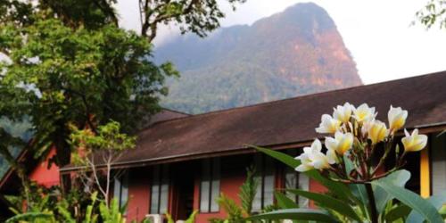 Pemandangan gunung umum atau pemandangan gunung yang diambil dari hotel