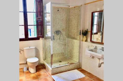 a bathroom with a shower and a toilet and a sink at Apartamentos Hostalets in Palma de Mallorca