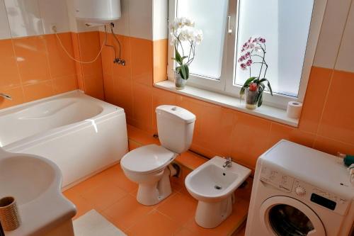 y baño con lavamanos y lavadora. en Lend apartment en Miercurea-Ciuc
