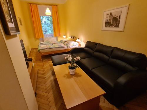 salon z kanapą i stolikiem kawowym w obiekcie Apartment No. 12 Tržiště 29 w Karlowych Warach