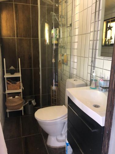 een badkamer met een toilet en een wastafel bij Ingarö Brudbergsvägen 17 in Stockholm