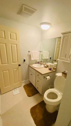 a bathroom with a toilet and a sink and a mirror at Resort Lodging at Venice Marina w/ WIFI + Private Dock in Venice