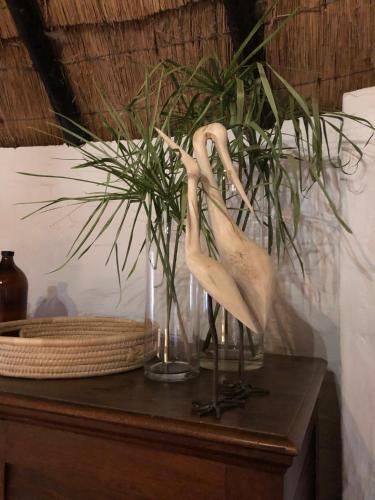 Galeriebild der Unterkunft Gartmore Guest Farm in Howick