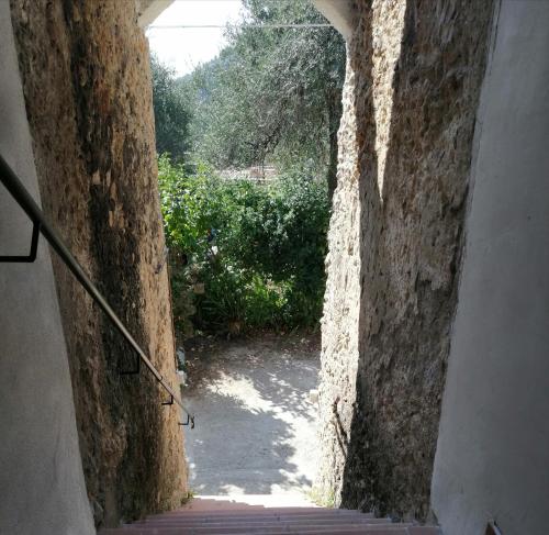 Casa Elvira – Photos 4
