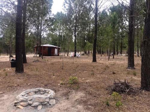 a pile of rocks in the middle of a forest at Otium Oasis Glamping & Camping in Hartebeest Rivier