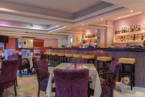 a restaurant with tables and a dog sitting at the bar at Sunrise Hotel in Karpathos