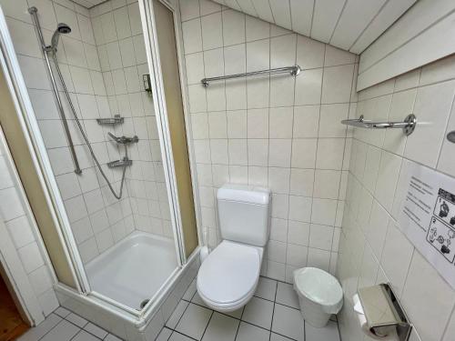 インターラーケンにあるインターラーケン マルコ ホステルのトイレとシャワー付きのバスルーム
