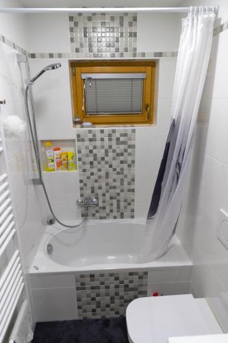 a bathroom with a shower and a tub and a toilet at Apartma Gaby in Bled