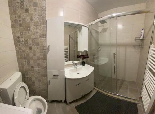 a bathroom with a toilet and a sink and a shower at Ognjen Apartman in Donje Mladice