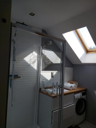 a bathroom with a shower and a sink and a skylight at Copernicus 11 in Olsztyn