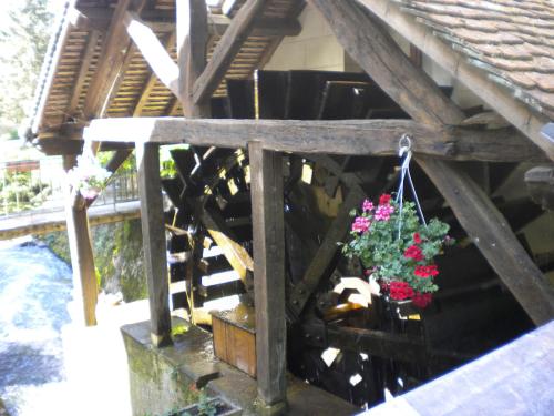 Zahrada ubytování Le Moulin Garnier
