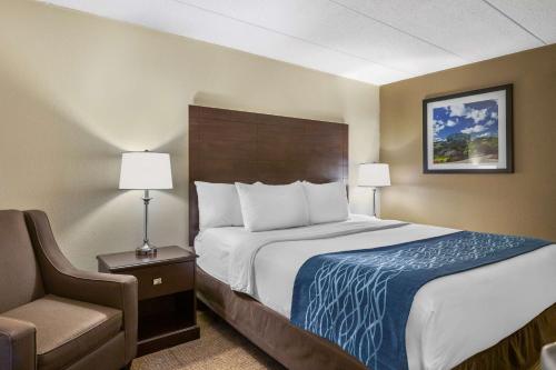 a hotel room with a large bed and a chair at Comfort Inn Grand Rapids Airport in Grand Rapids