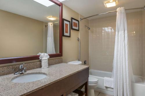 a bathroom with a sink and a toilet and a shower at Comfort Inn Grand Rapids Airport in Grand Rapids
