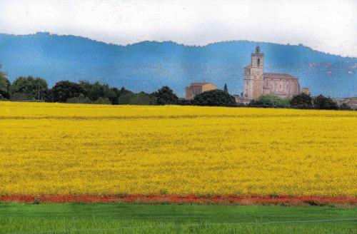 a yellow rapeseed field with a building in the background at Mas Rauric in Llagostera