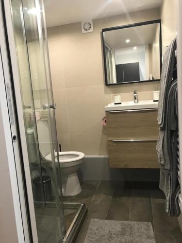 een badkamer met een toilet, een wastafel en een spiegel bij Superbe appartement 4 Personnes au Centre de Paris in Parijs