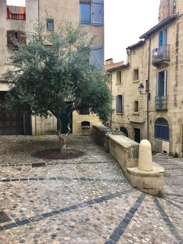 L'Olivier Loft HH - Netflix & Prime - Centre Corum