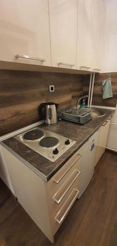 a small kitchen with a stove and a sink at IRIS Apartments in Bitola