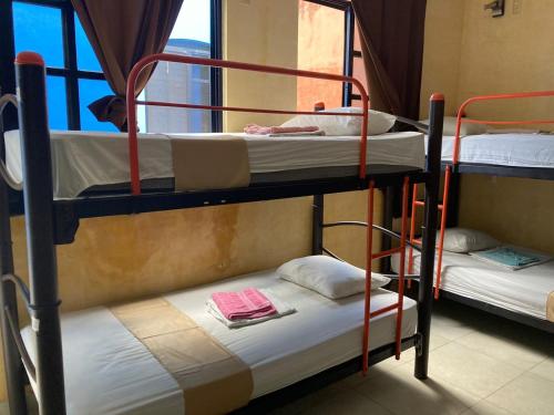 two bunk beds in a room with a window at Hostal La Ermita in Mérida