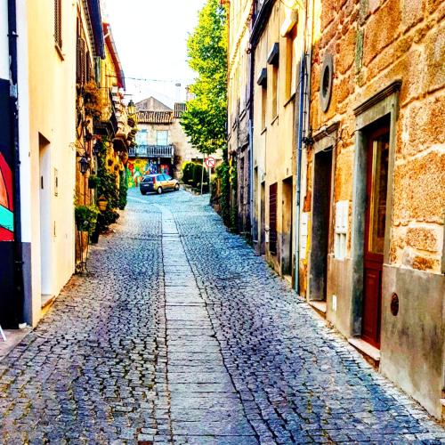 Il quartiere o una zona nella vicinanze della casa vacanze