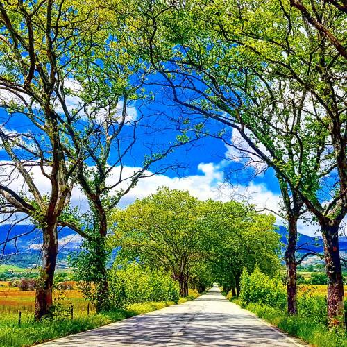 Paesaggio naturale nelle vicinanze della casa vacanze