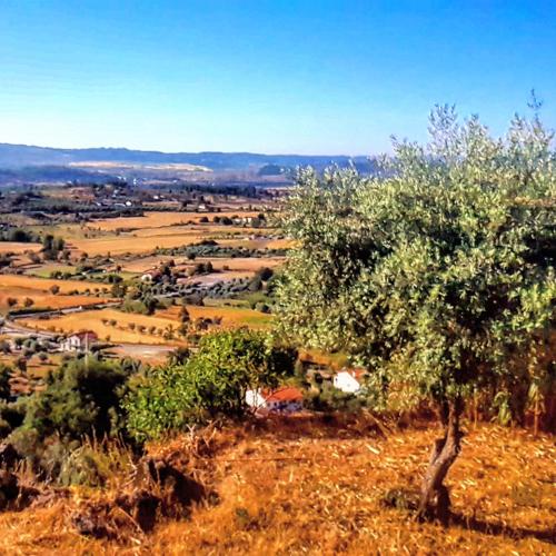 Paesaggio naturale nelle vicinanze della casa vacanze
