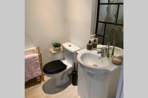uma casa de banho branca com um WC e um lavatório em Maisonnette au coeur du vignoble d'Hautvillers em Hautvillers