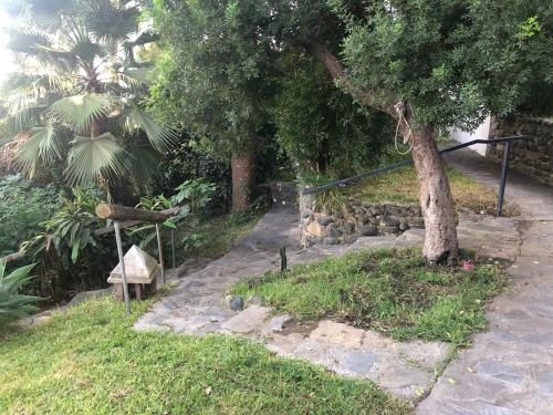 Ein Garten an der Unterkunft Casa Simba B&B