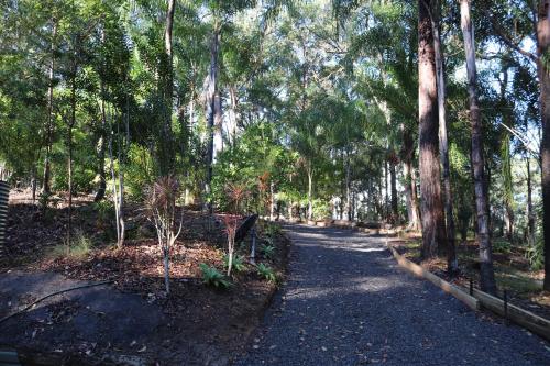 a path in the middle of a forest of trees at GREEN TREES CHALET Australia Zoo close by in Landsborough