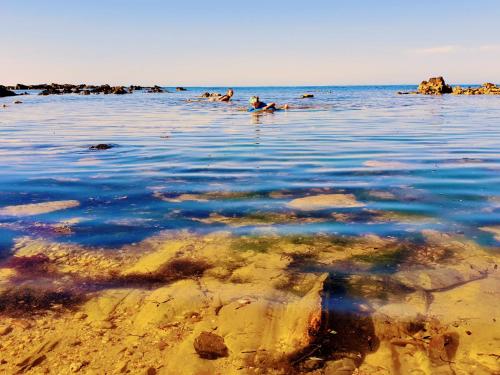 Φυσικό τοπίο κοντά σε αυτή η παραθεριστική κατοικία
