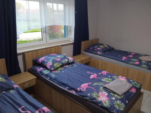 um quarto com duas camas e uma janela em Szafir - NoclegiGrodziskPL em Grodzisk Mazowiecki