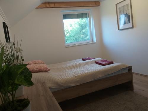 - une chambre avec un lit et une fenêtre dans l'établissement Tölgyerdő Apartman, à Kismaros
