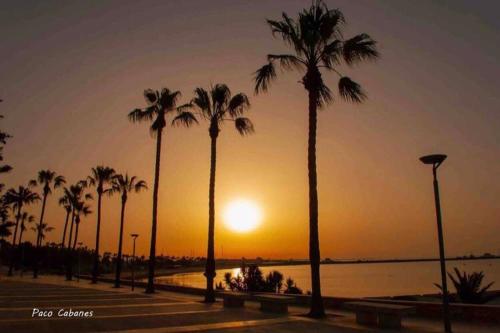 a group of palm trees in front of a sunset at Exclusivo Chalet a Pie de Costa in Alcanar