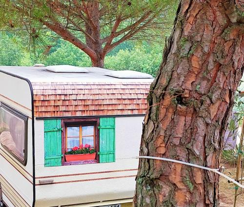 a caravan with a window and a tree at AGRiCAMPiNG POGGiO Ai PiNi WiNE CAMPiNG in Certaldo