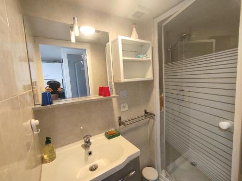 Un baño con lavabo, ducha y espejo. en la PASSERONNE, en Barbentane
