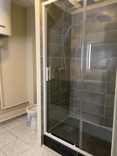 a shower stall in a bathroom with a toilet at Chablis hyper Centre in Chablis