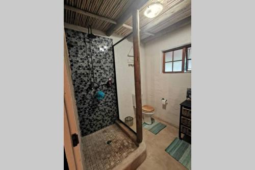 uma casa de banho com um chuveiro e um WC. em Nature Lovers Paradise em Gillitts