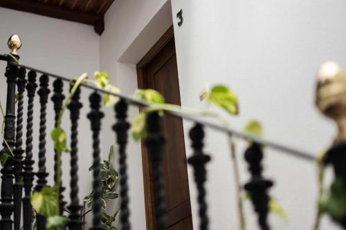 una barandilla de escalera con una planta delante de una puerta en Casa Rural Sierra Tórtola 2, en Hinojales